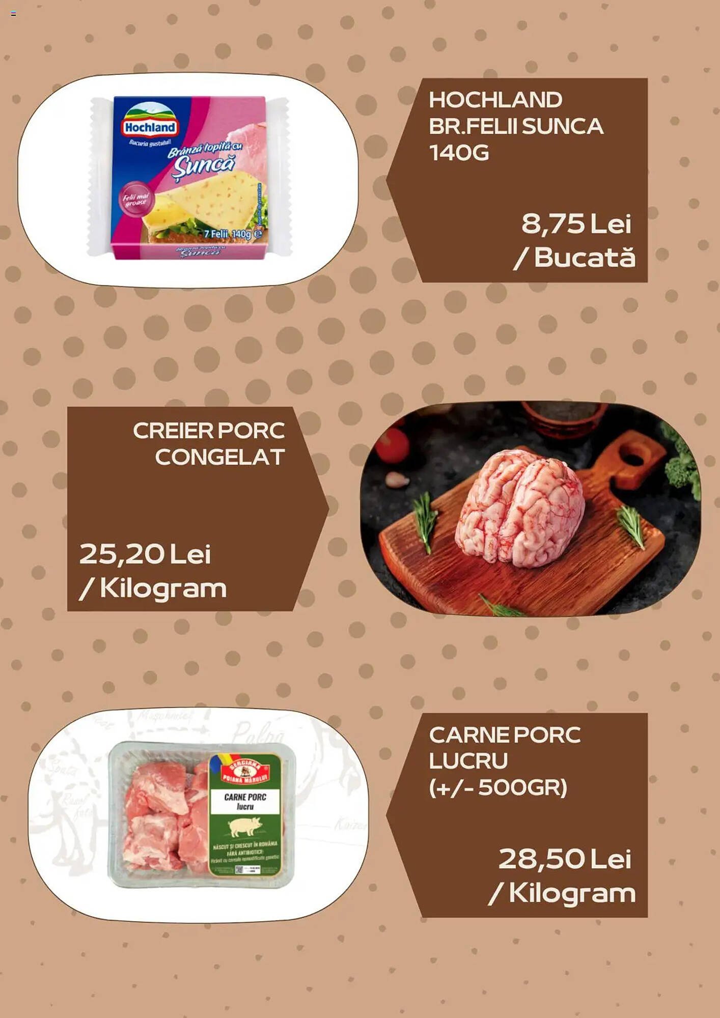 Catalog Sergiana Grup