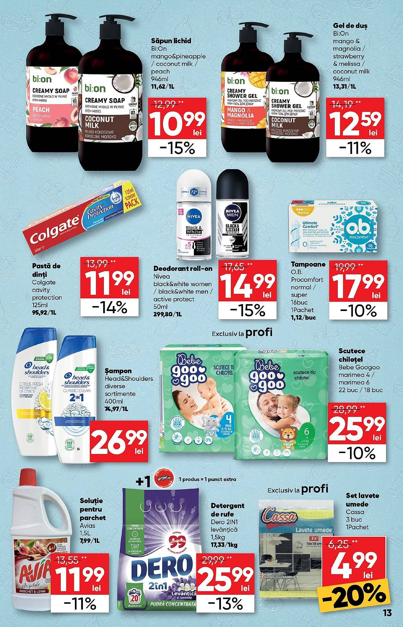 Catalog PROFI