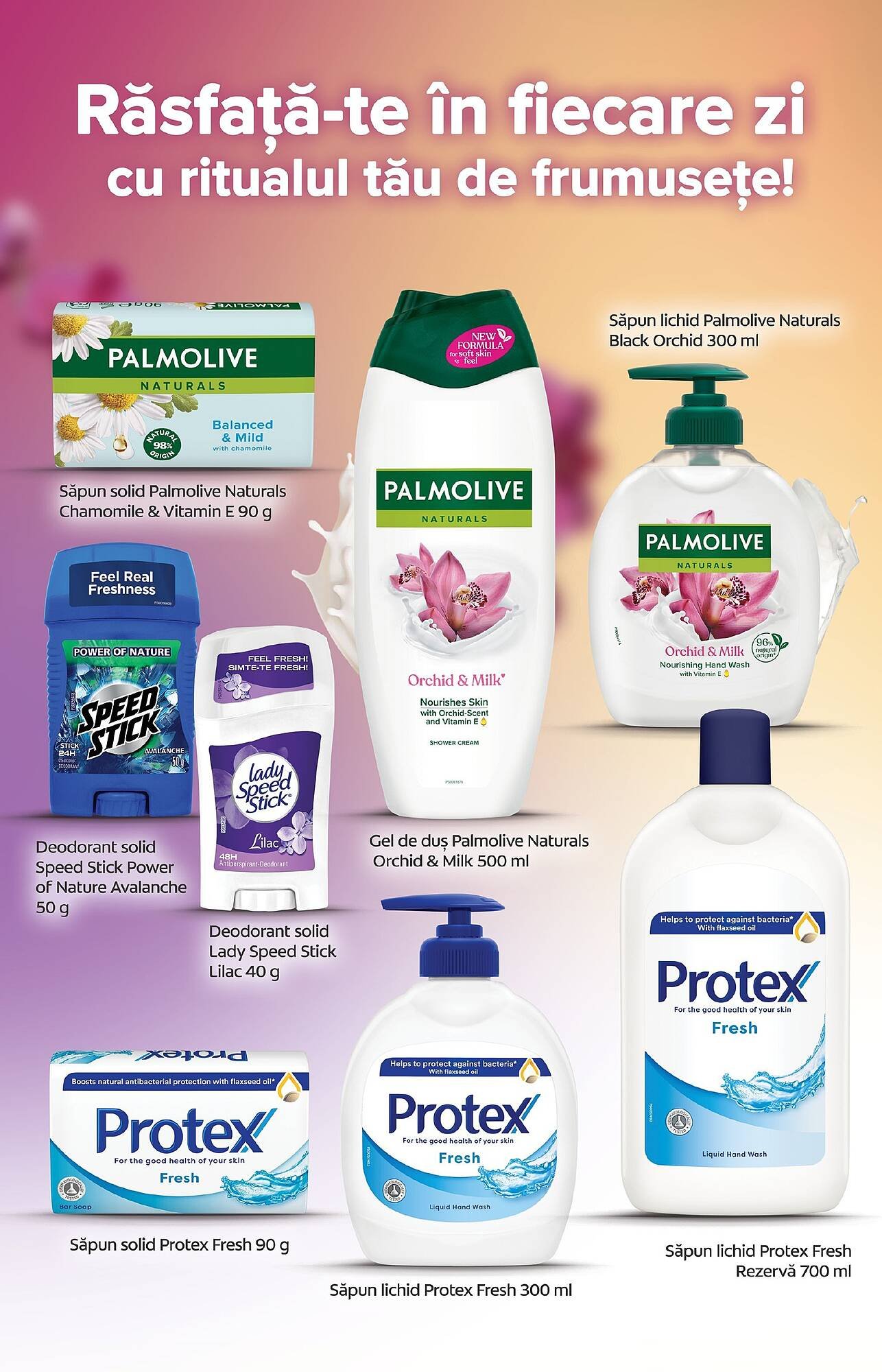 Catalog PROFI