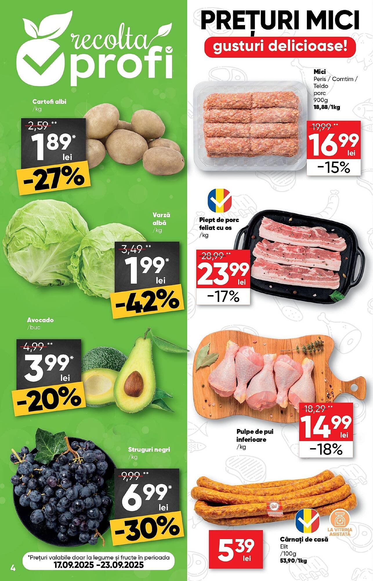 Catalog PROFI