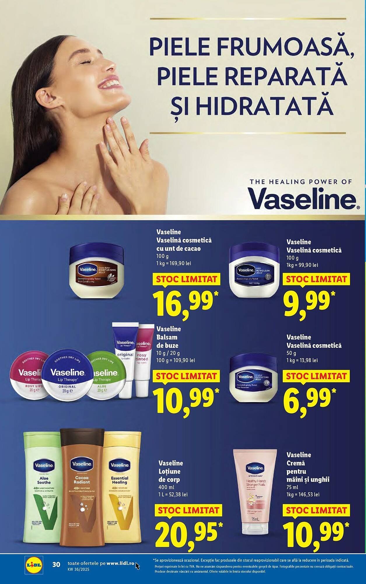 Catalog Lidl