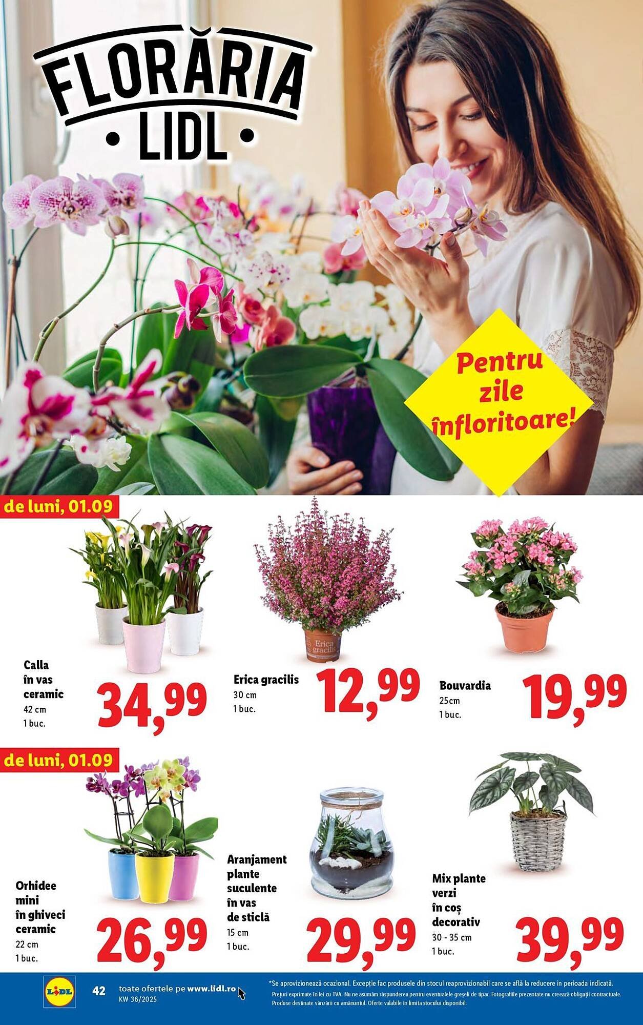 Catalog Lidl