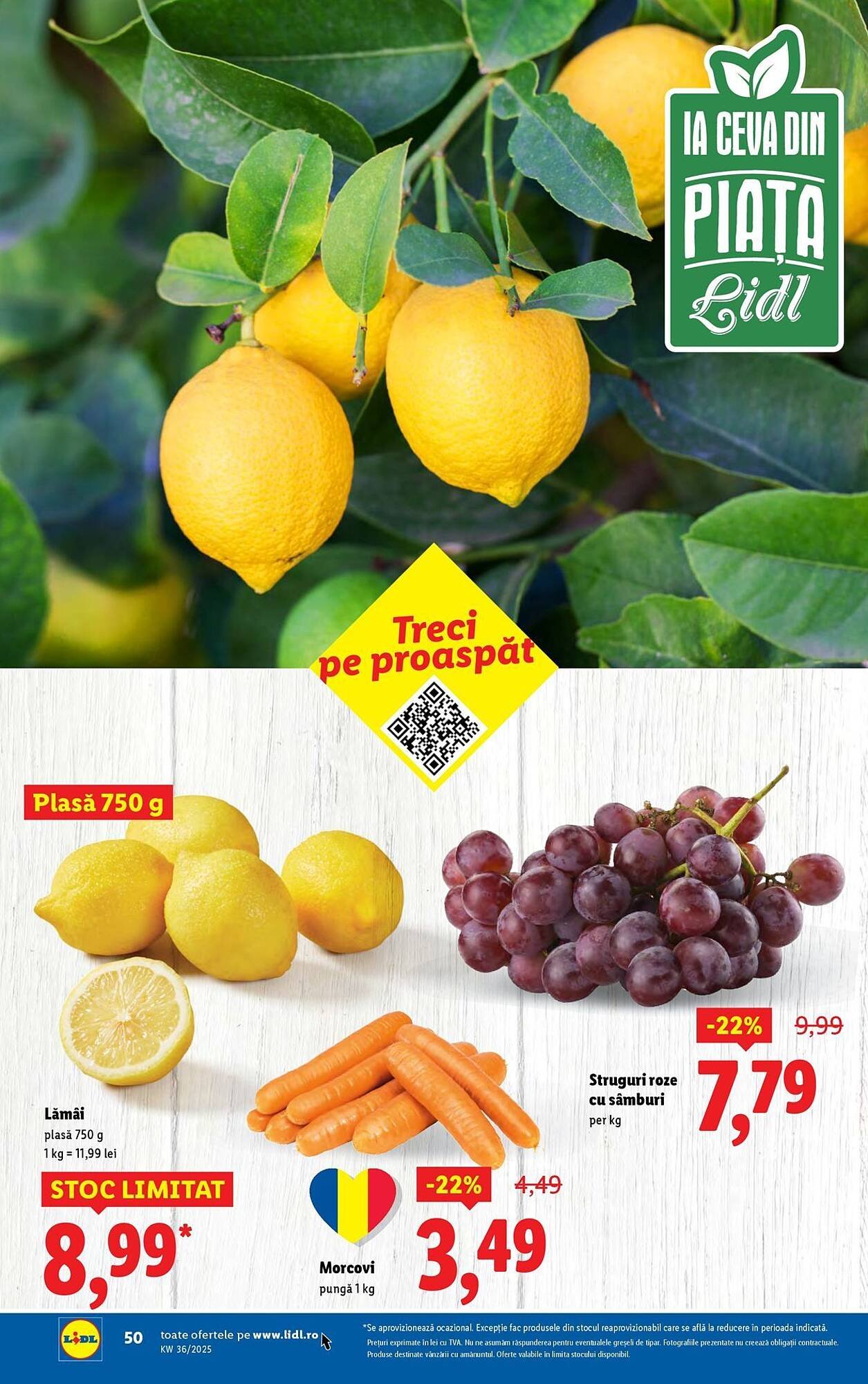 Catalog Lidl