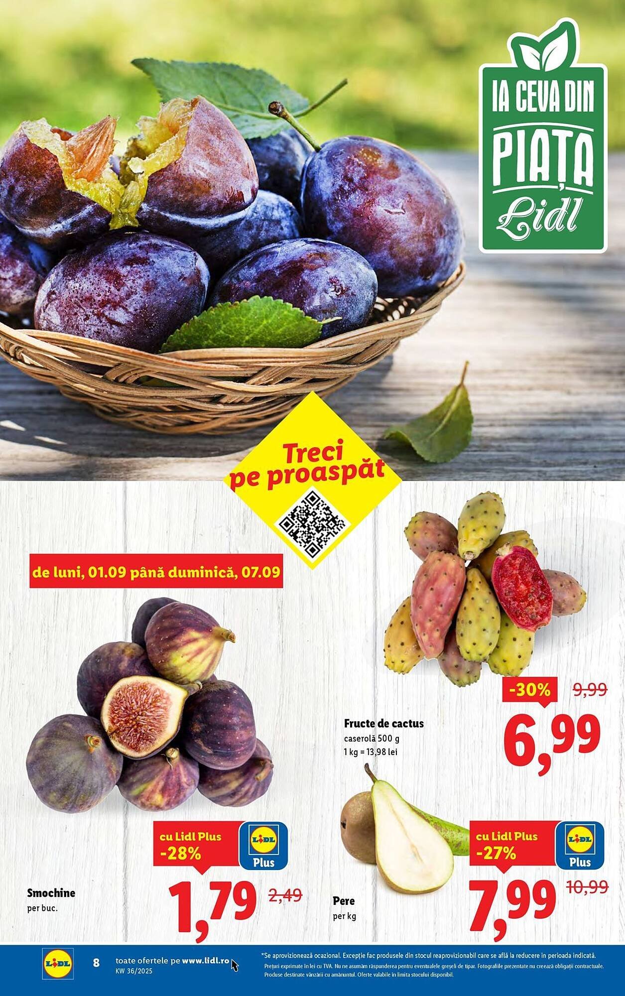 Catalog Lidl