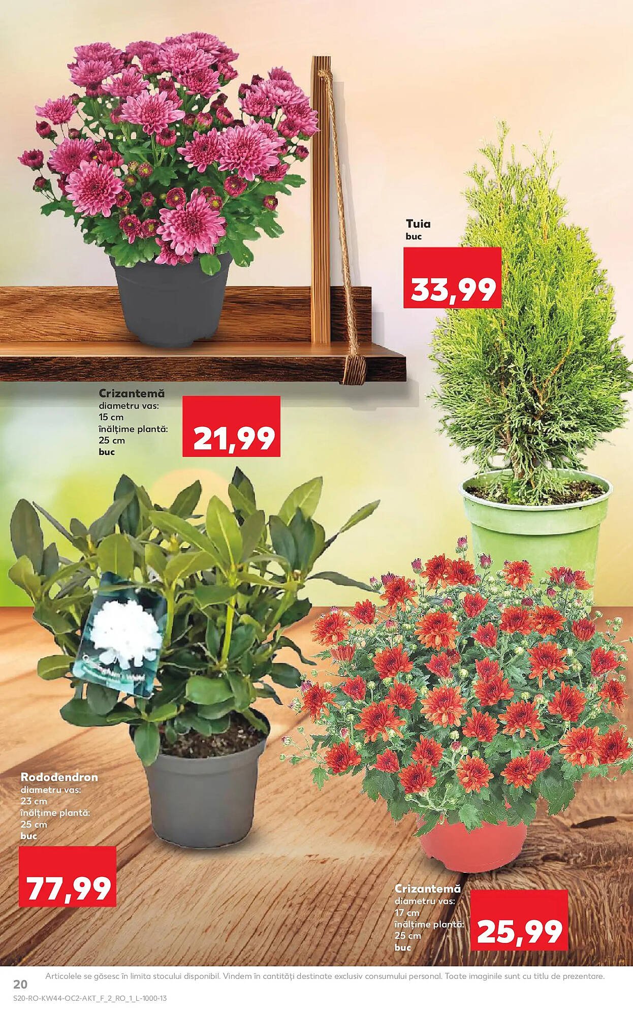 Catalog Kaufland
