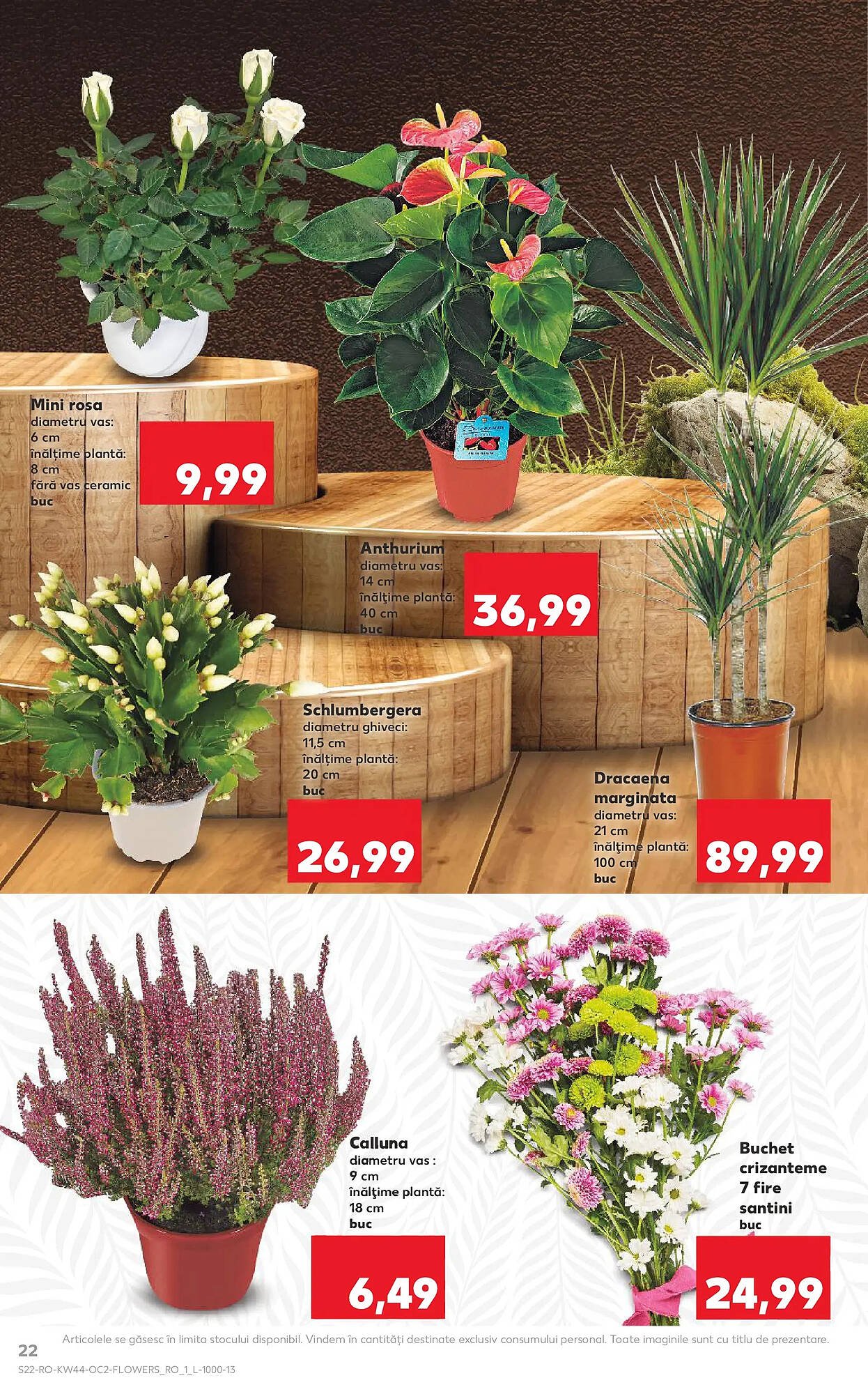 Catalog Kaufland