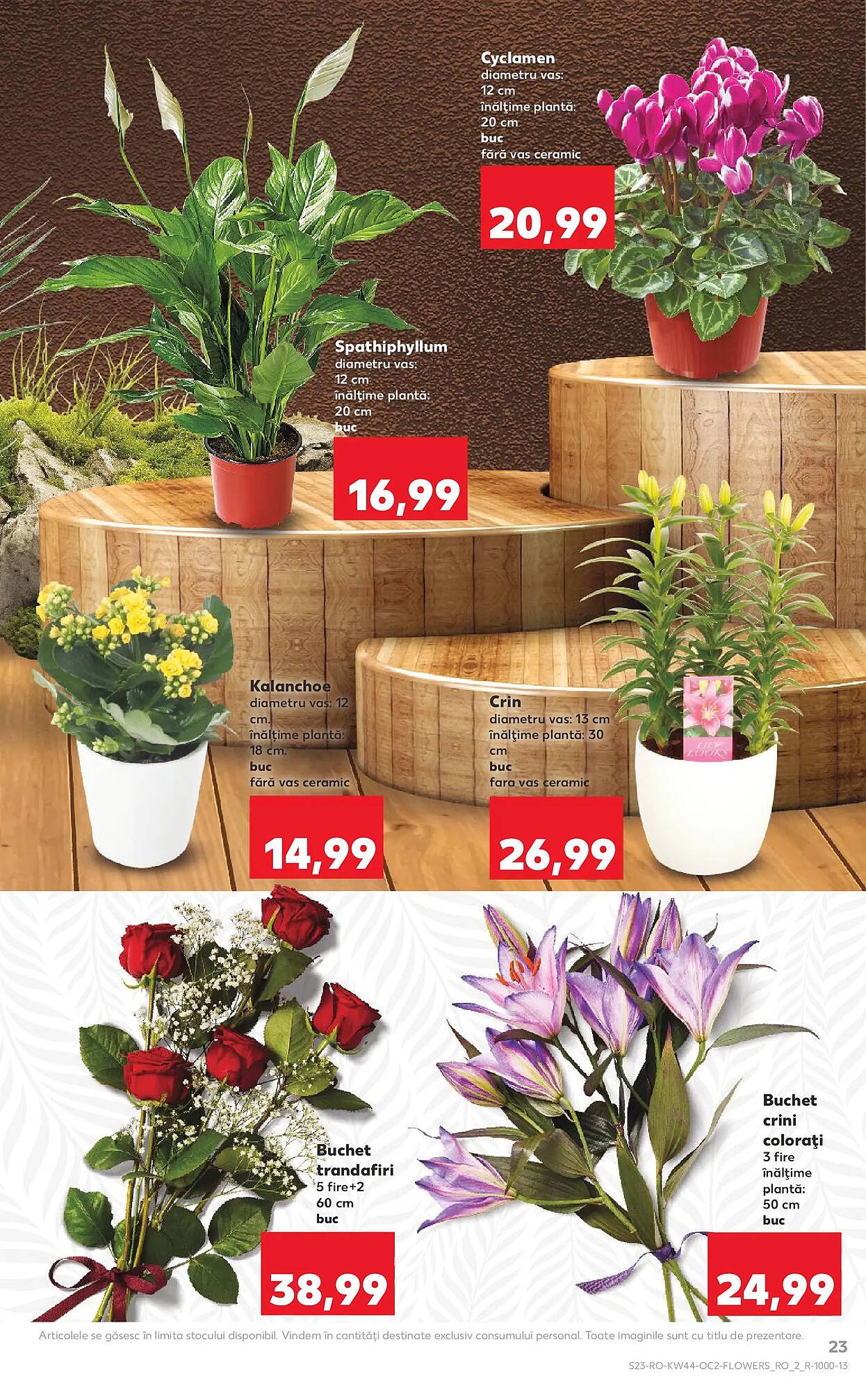Catalog Kaufland