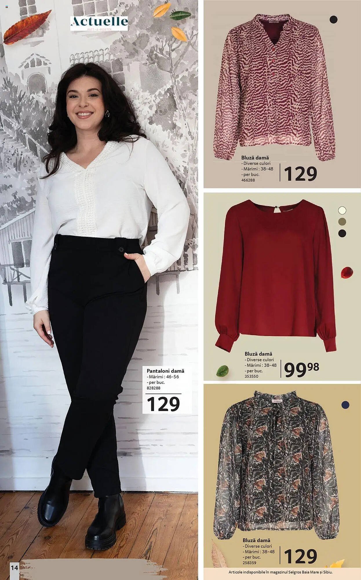 Catalog Selgros