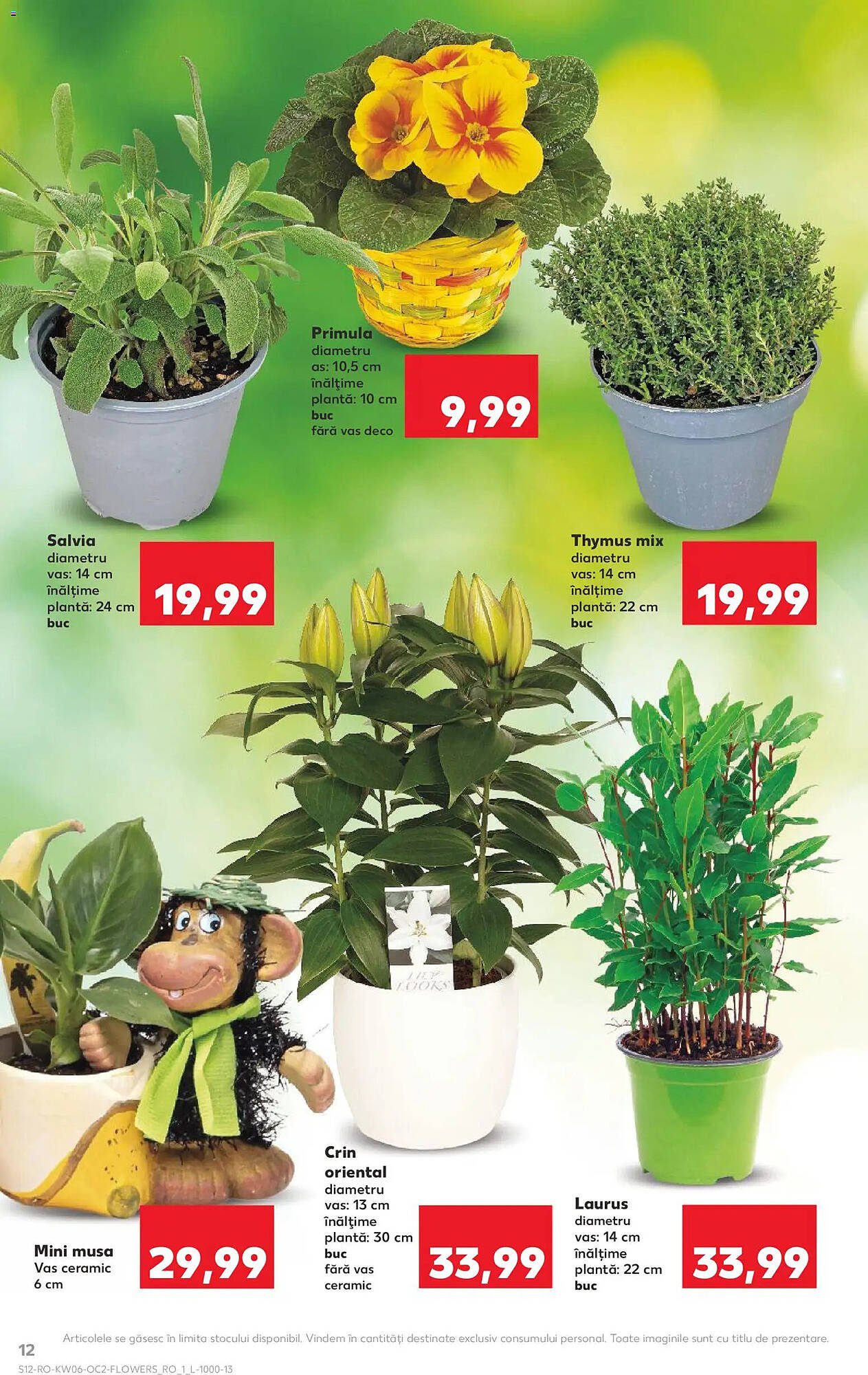 Catalog Kaufland