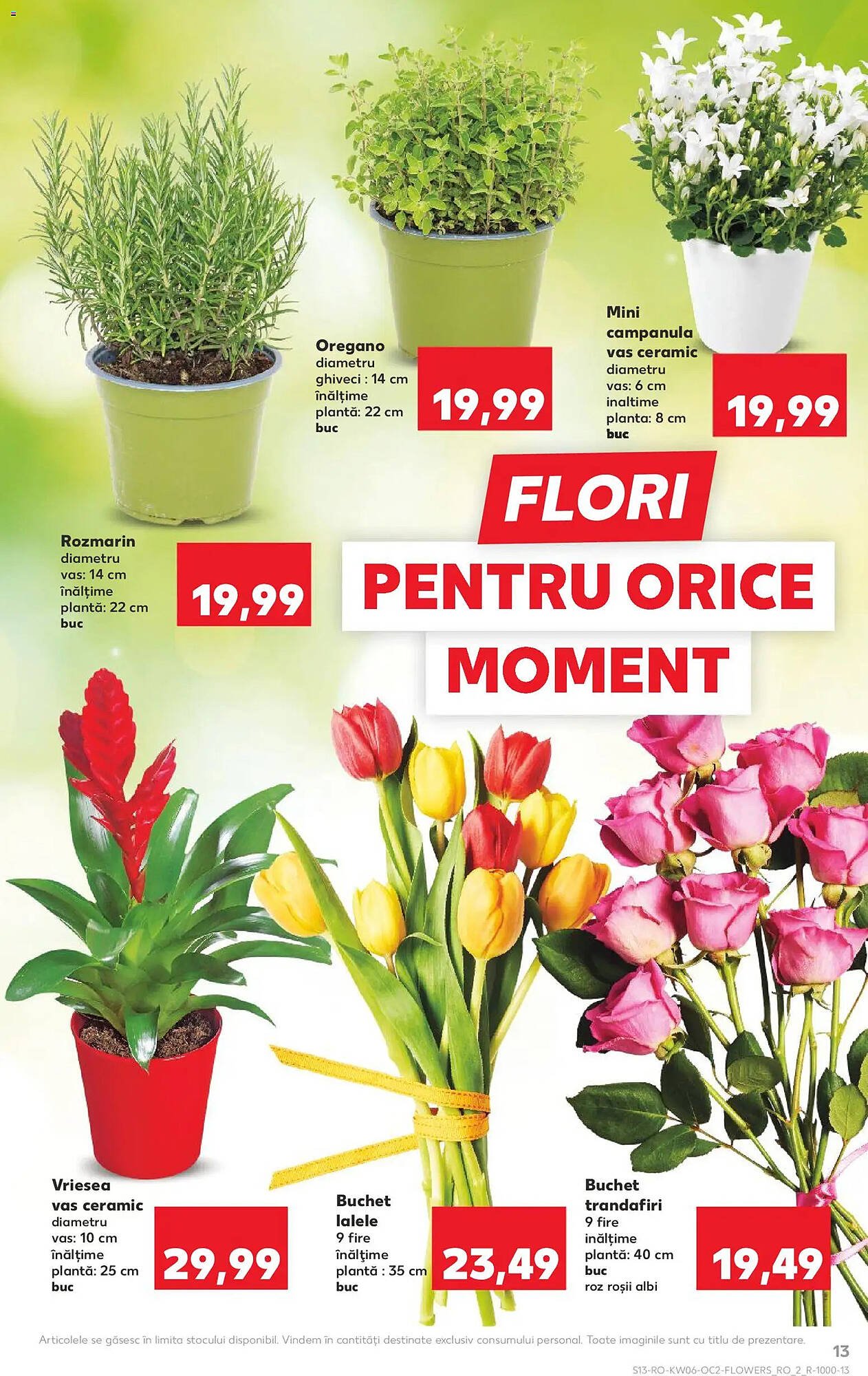 Catalog Kaufland