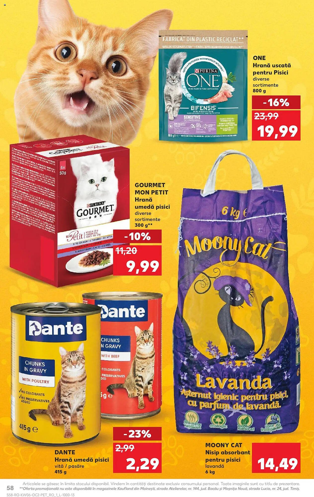 Catalog Kaufland
