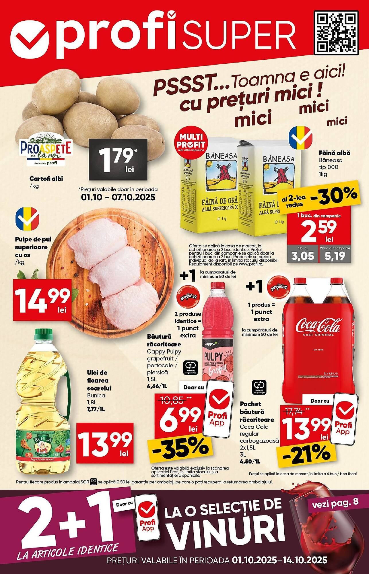 Catalog PROFI