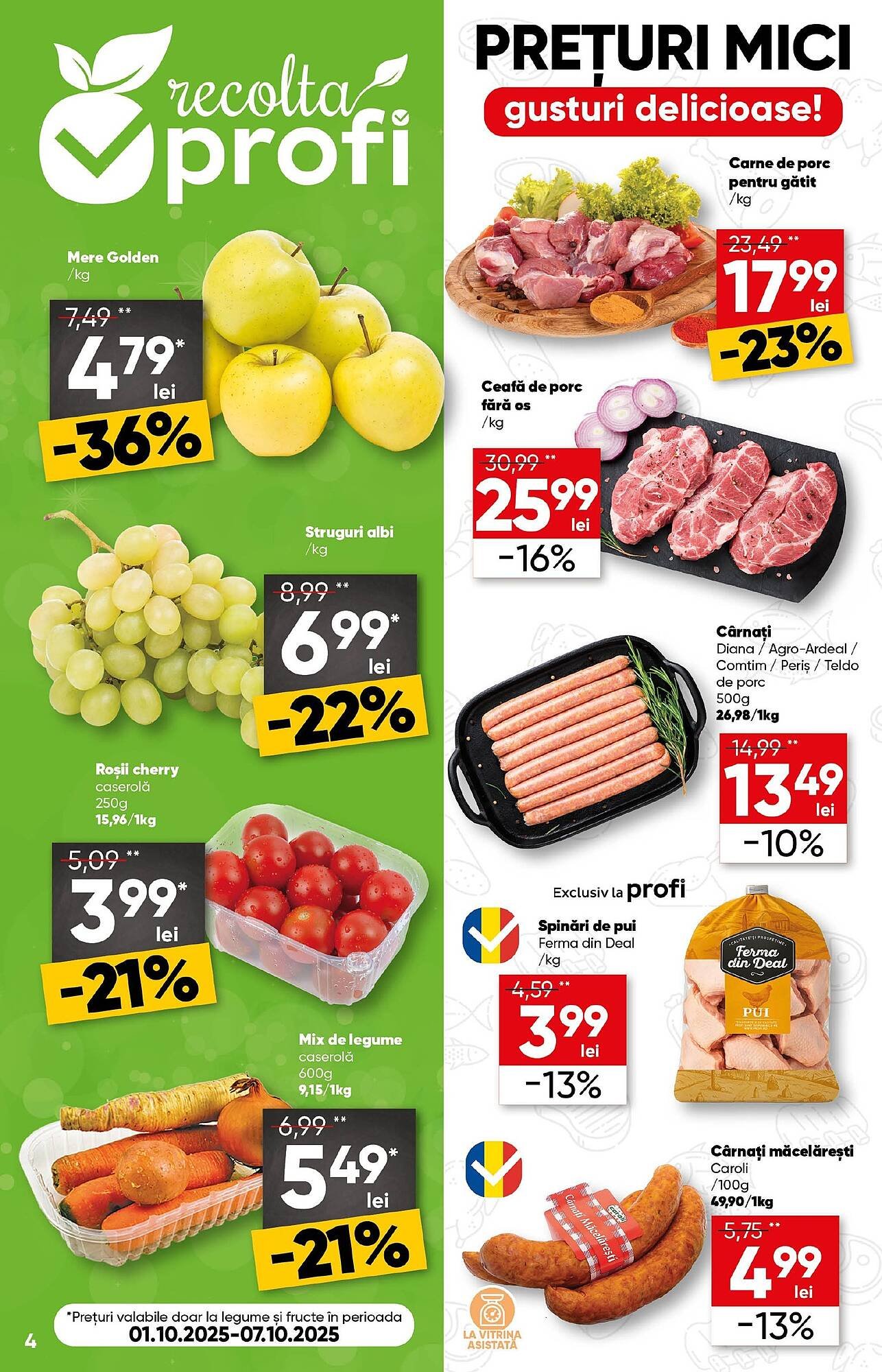 Catalog PROFI