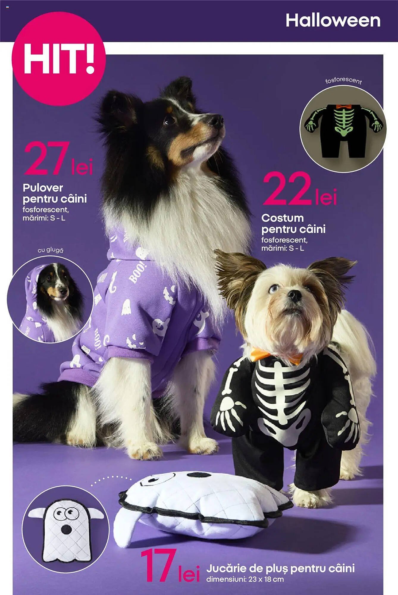 Catalog Pepco