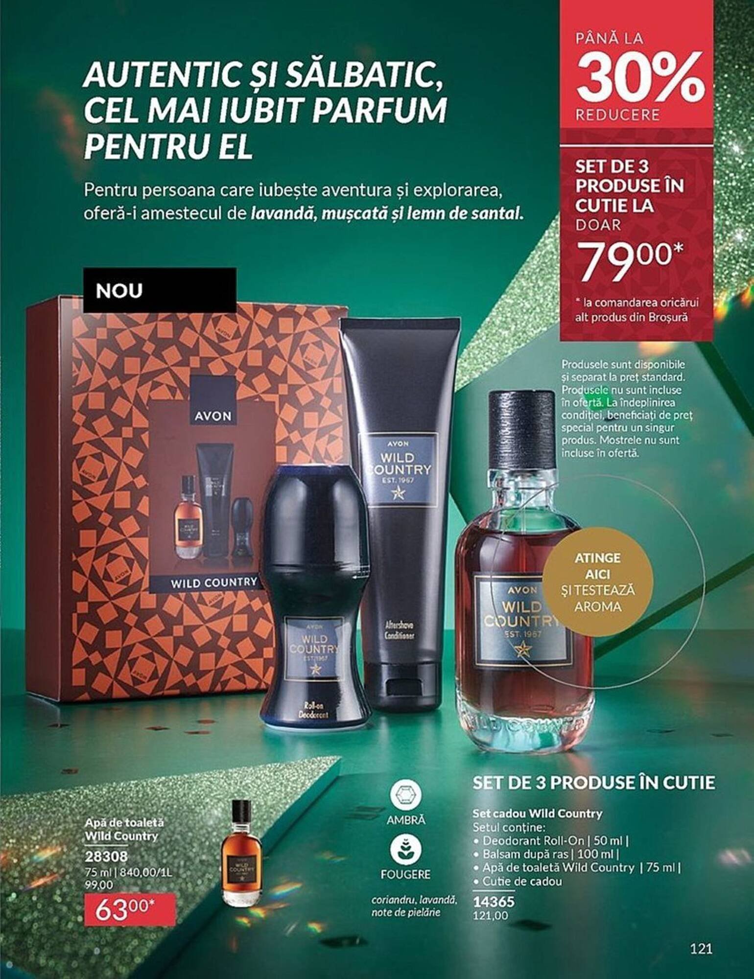 Catalog Avon