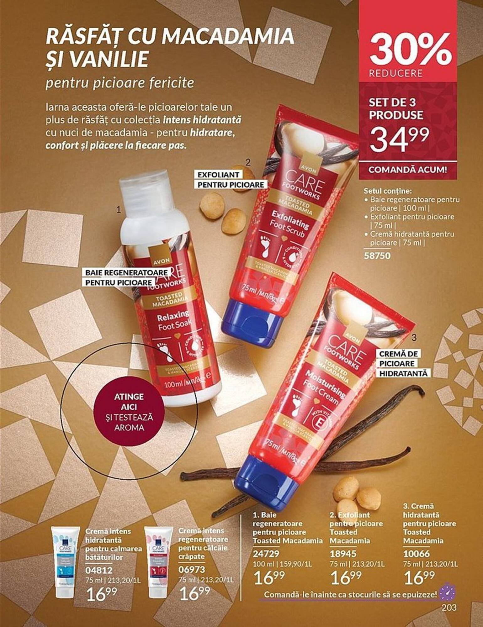 Catalog Avon