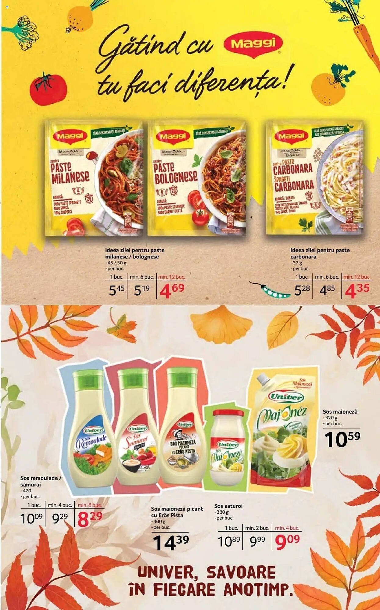 Catalog Selgros