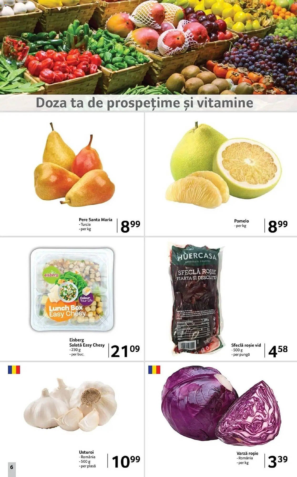 Catalog Selgros