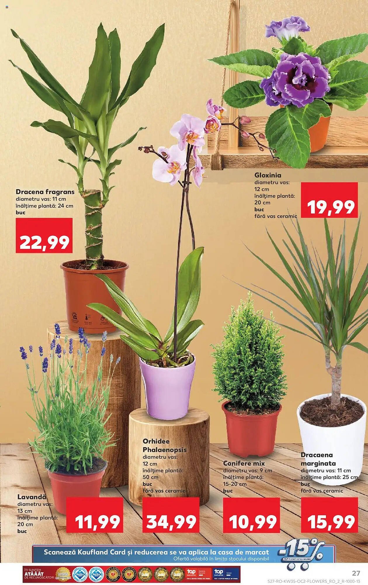 Catalog Kaufland