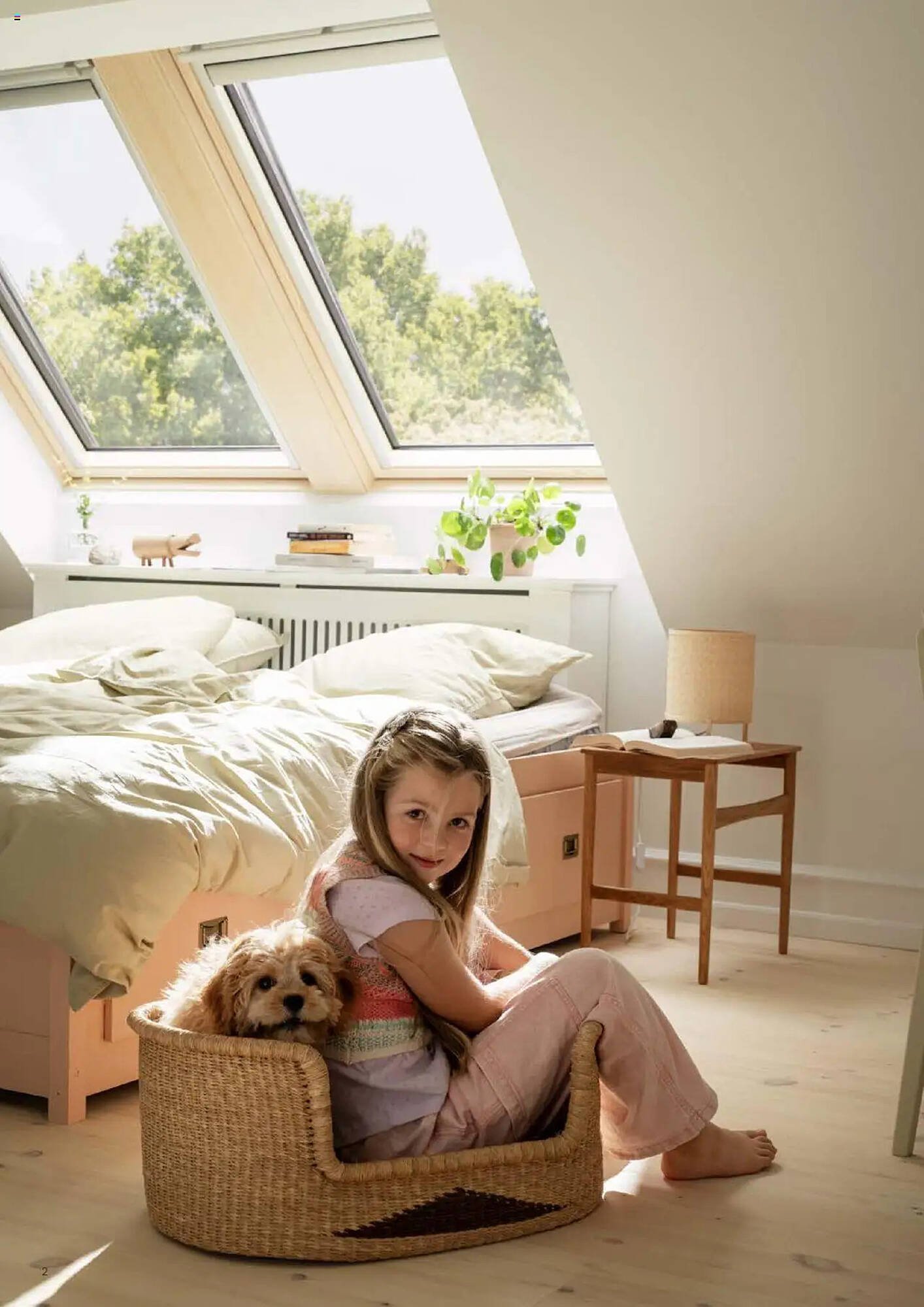 Catalog Velux
