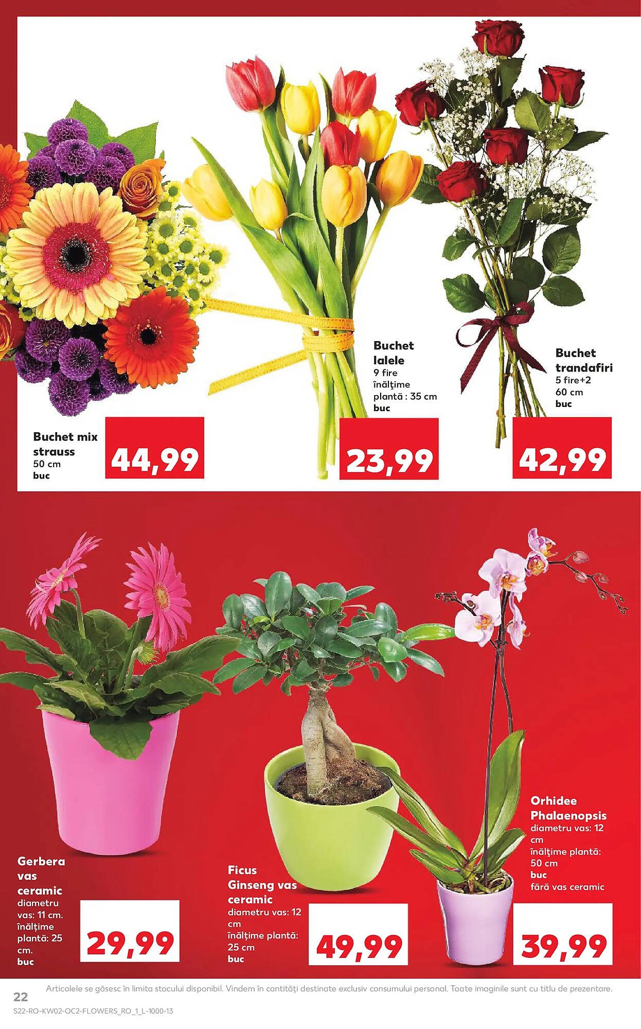 Catalog Kaufland