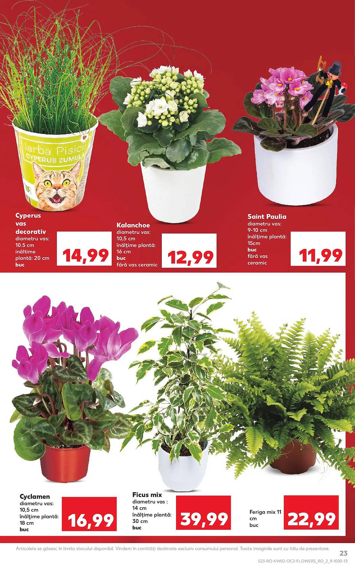 Catalog Kaufland