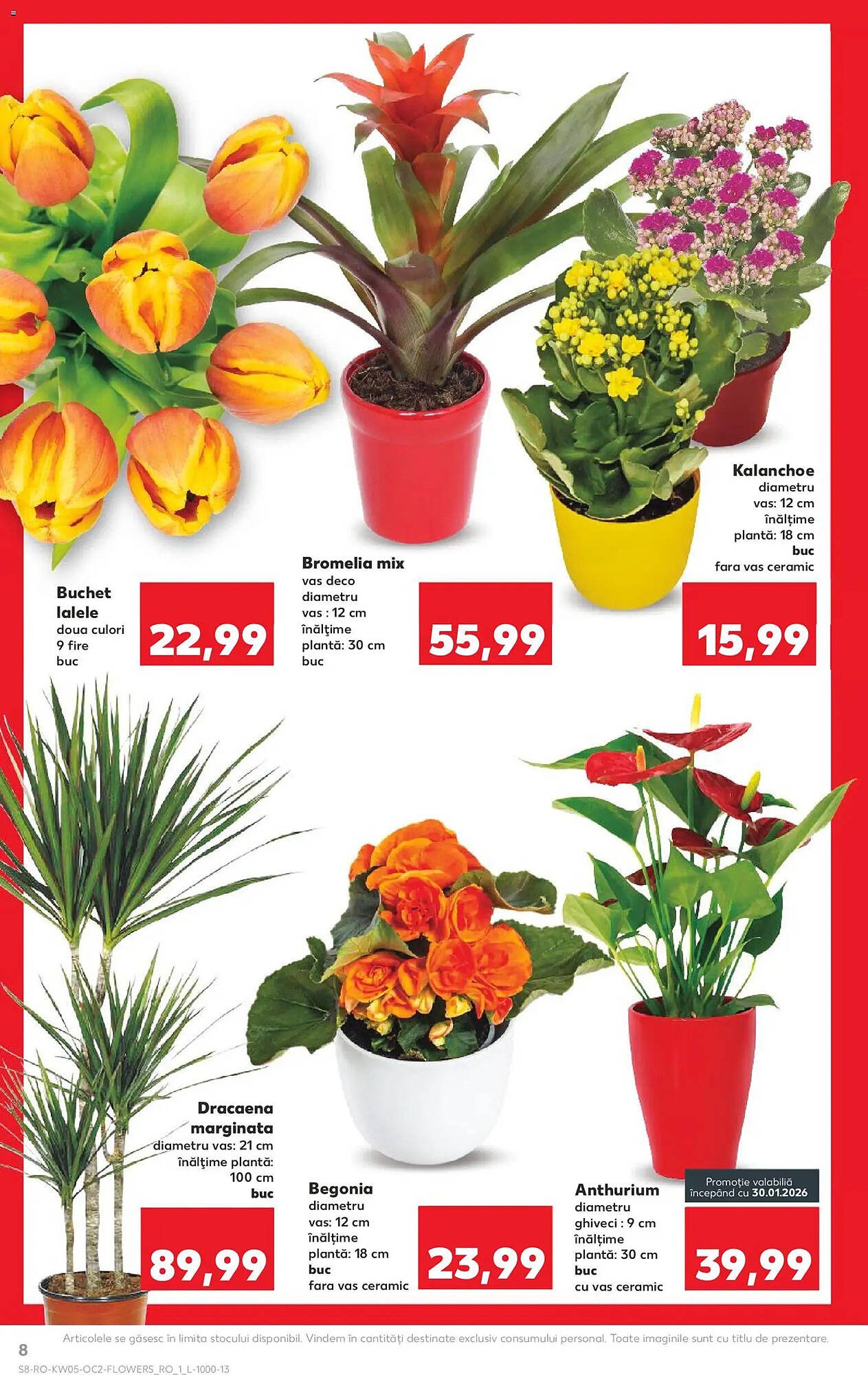 Catalog Kaufland