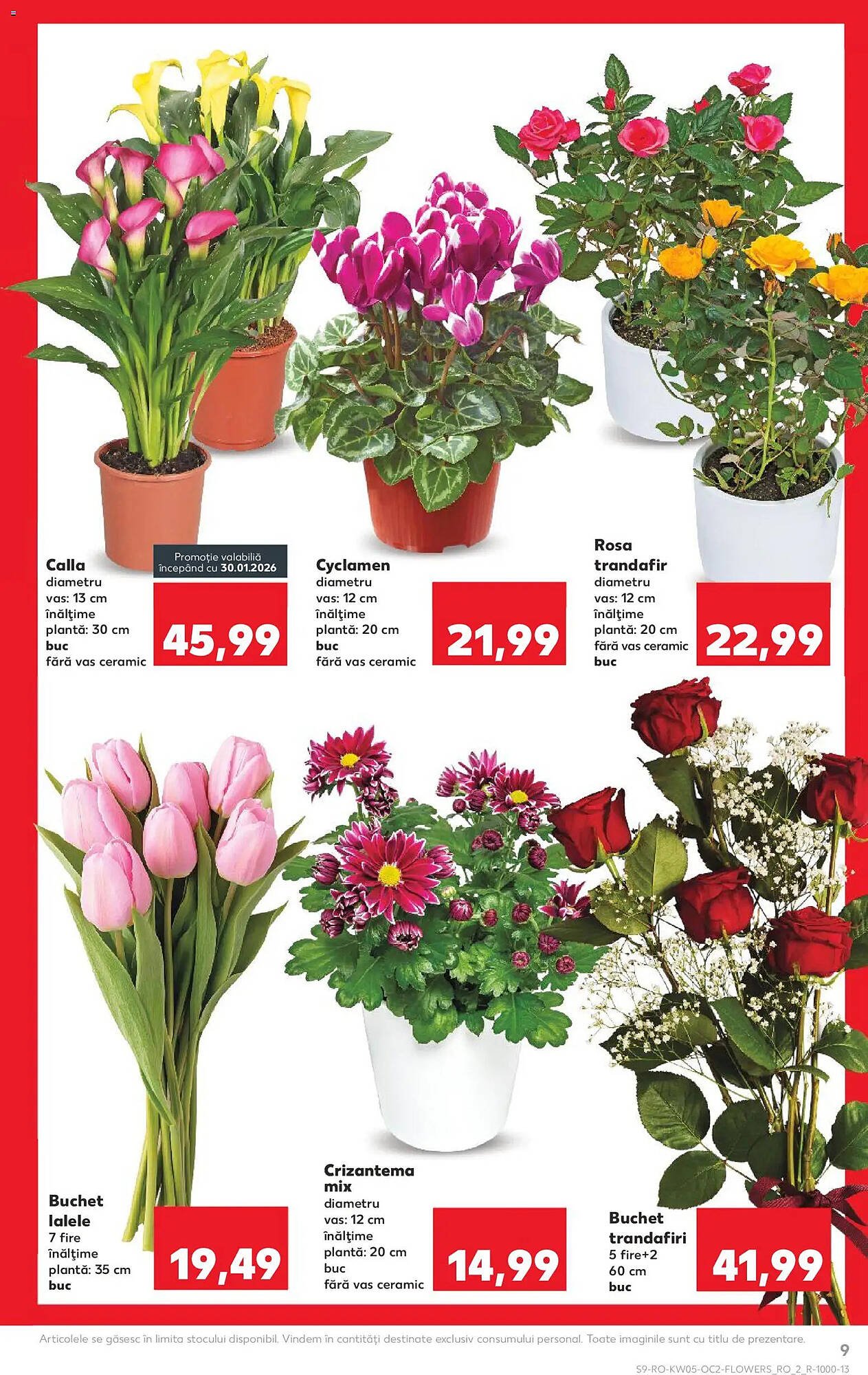 Catalog Kaufland