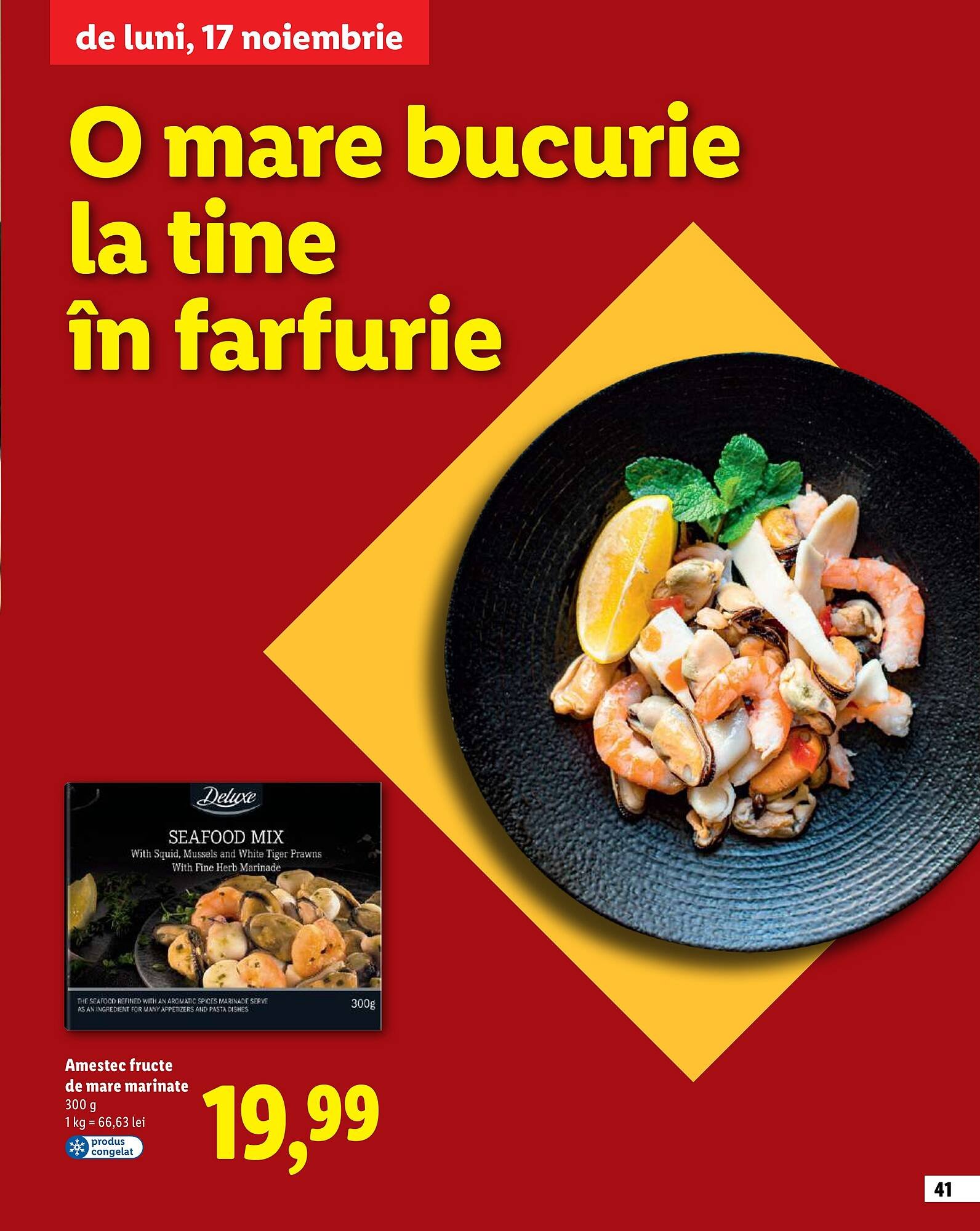 Catalog Lidl