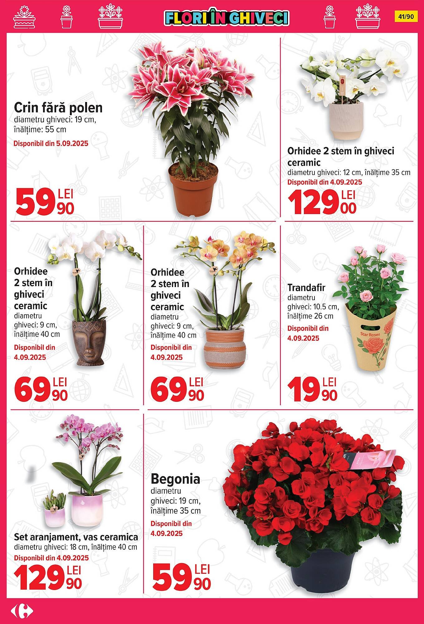 Catalog Carrefour
