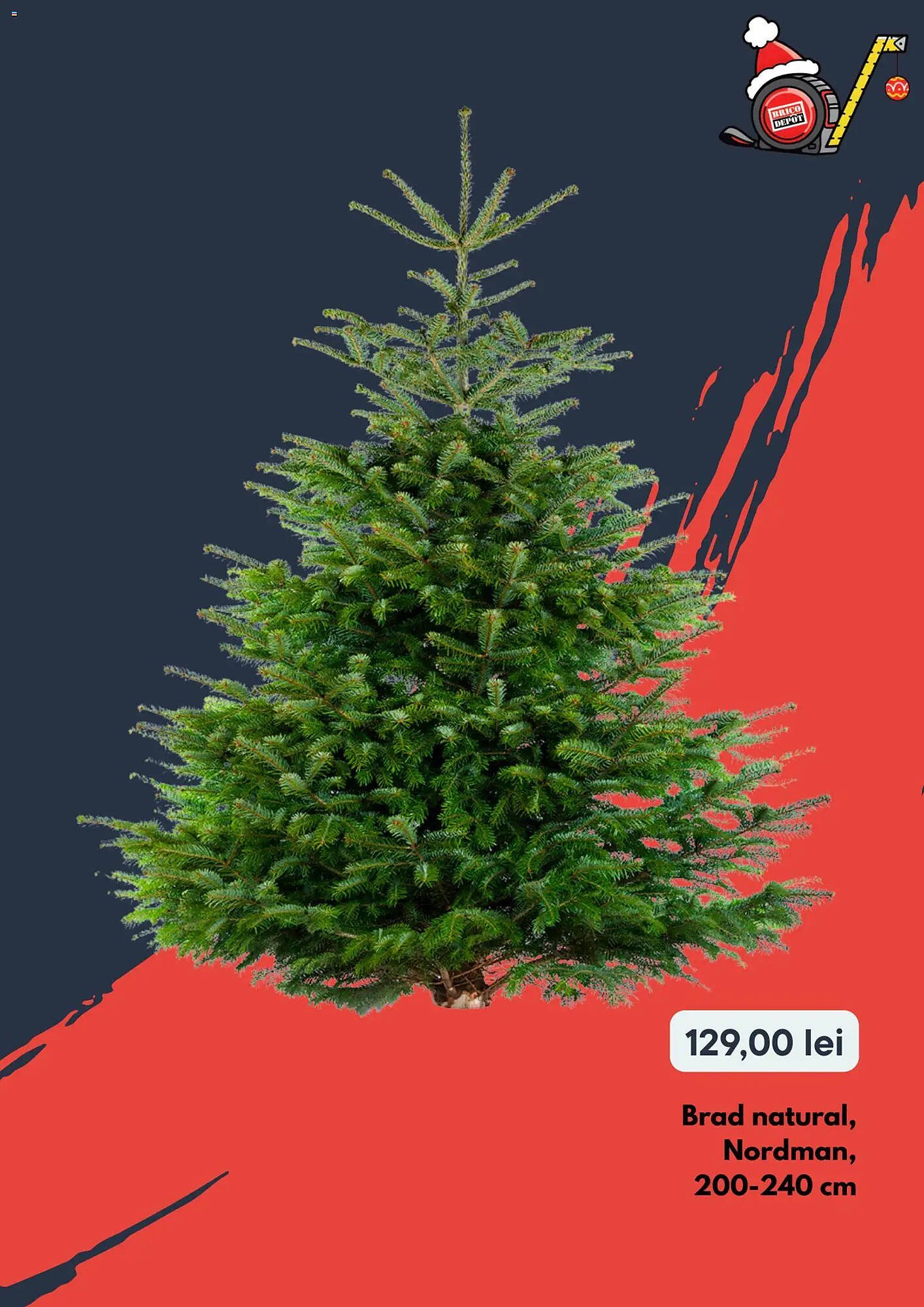 Catalog Brico Depôt