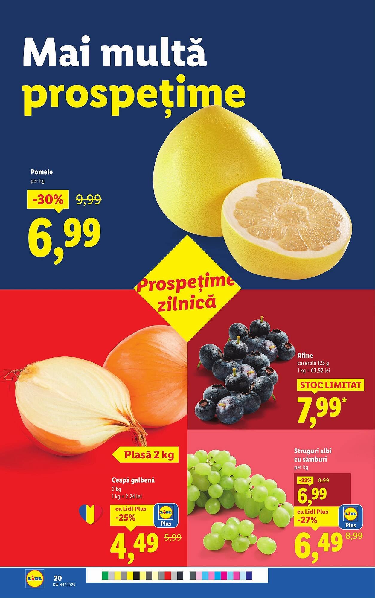 Catalog Lidl