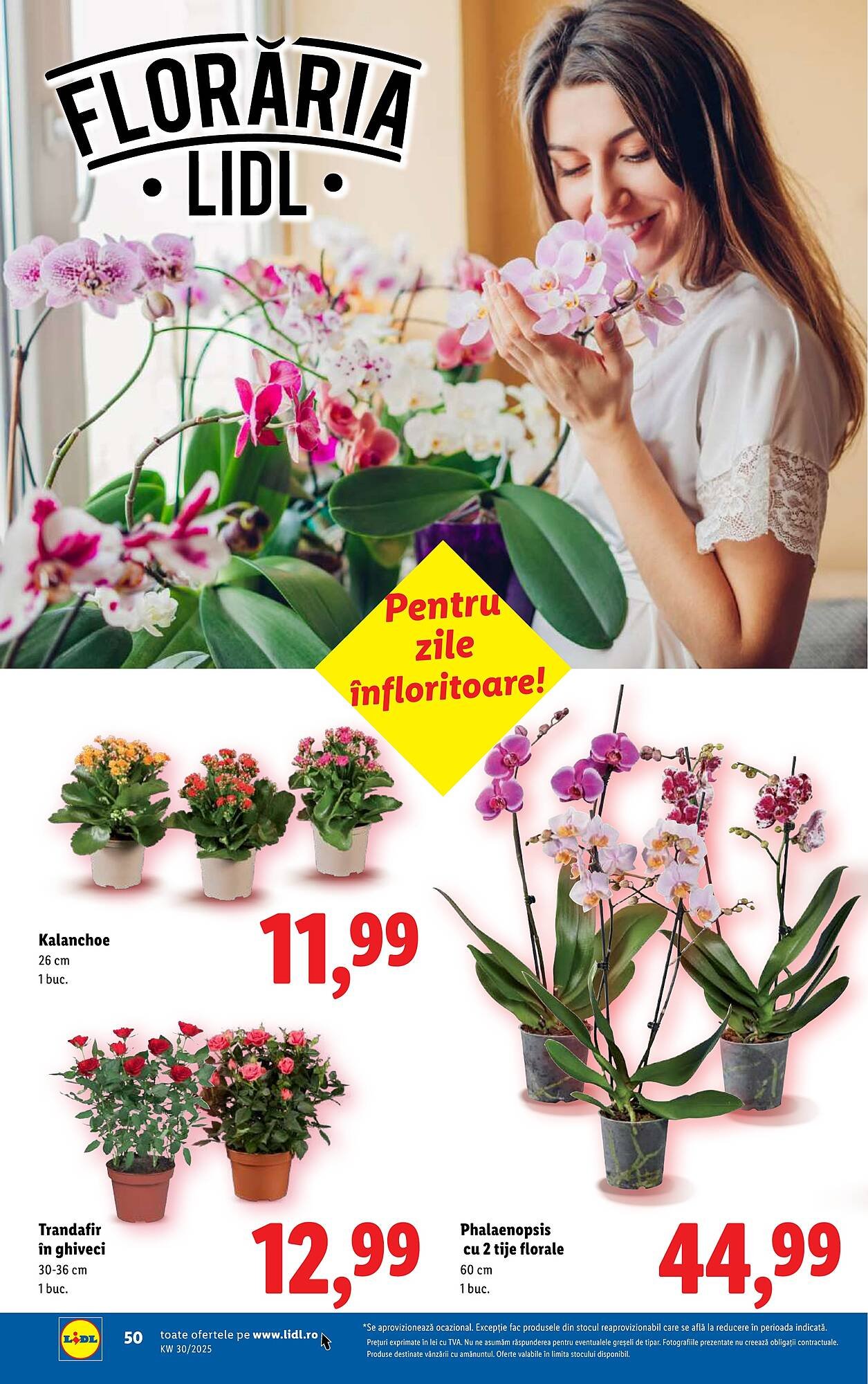 Catalog Lidl