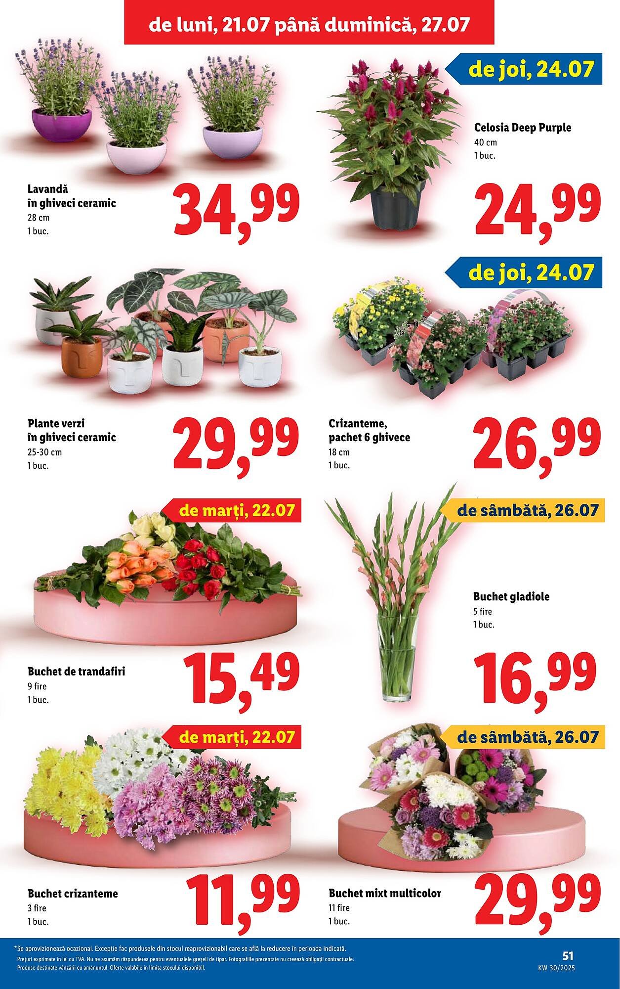 Catalog Lidl