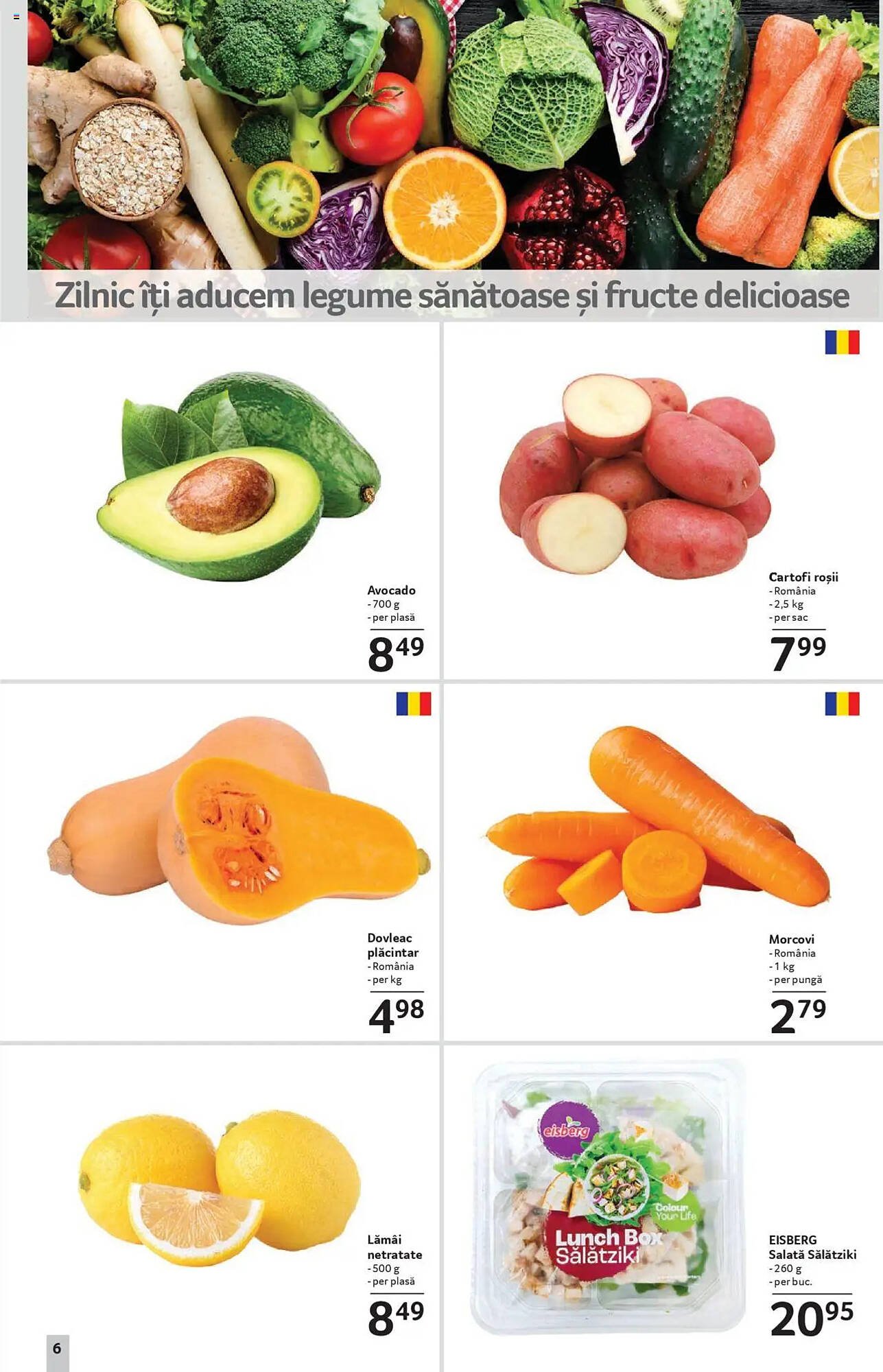 Catalog Selgros