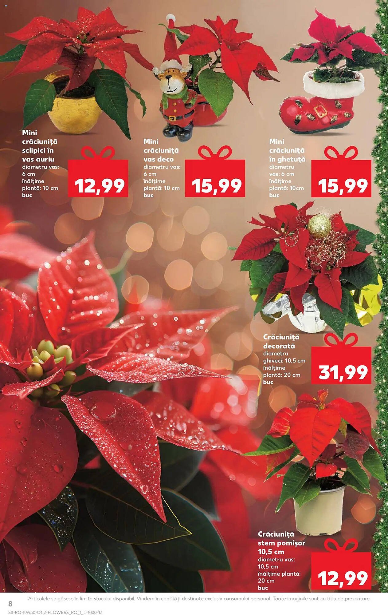 Catalog Kaufland