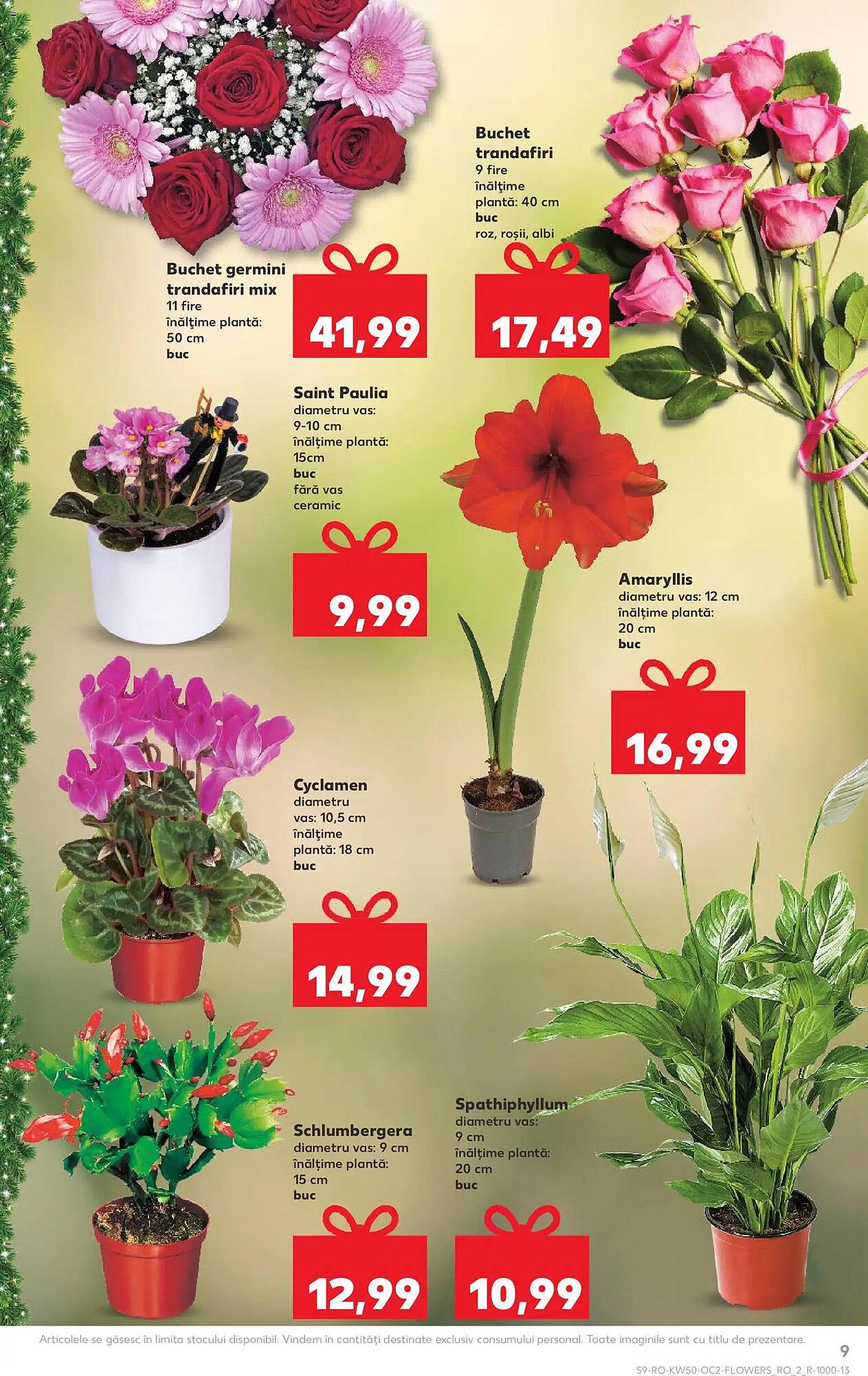 Catalog Kaufland