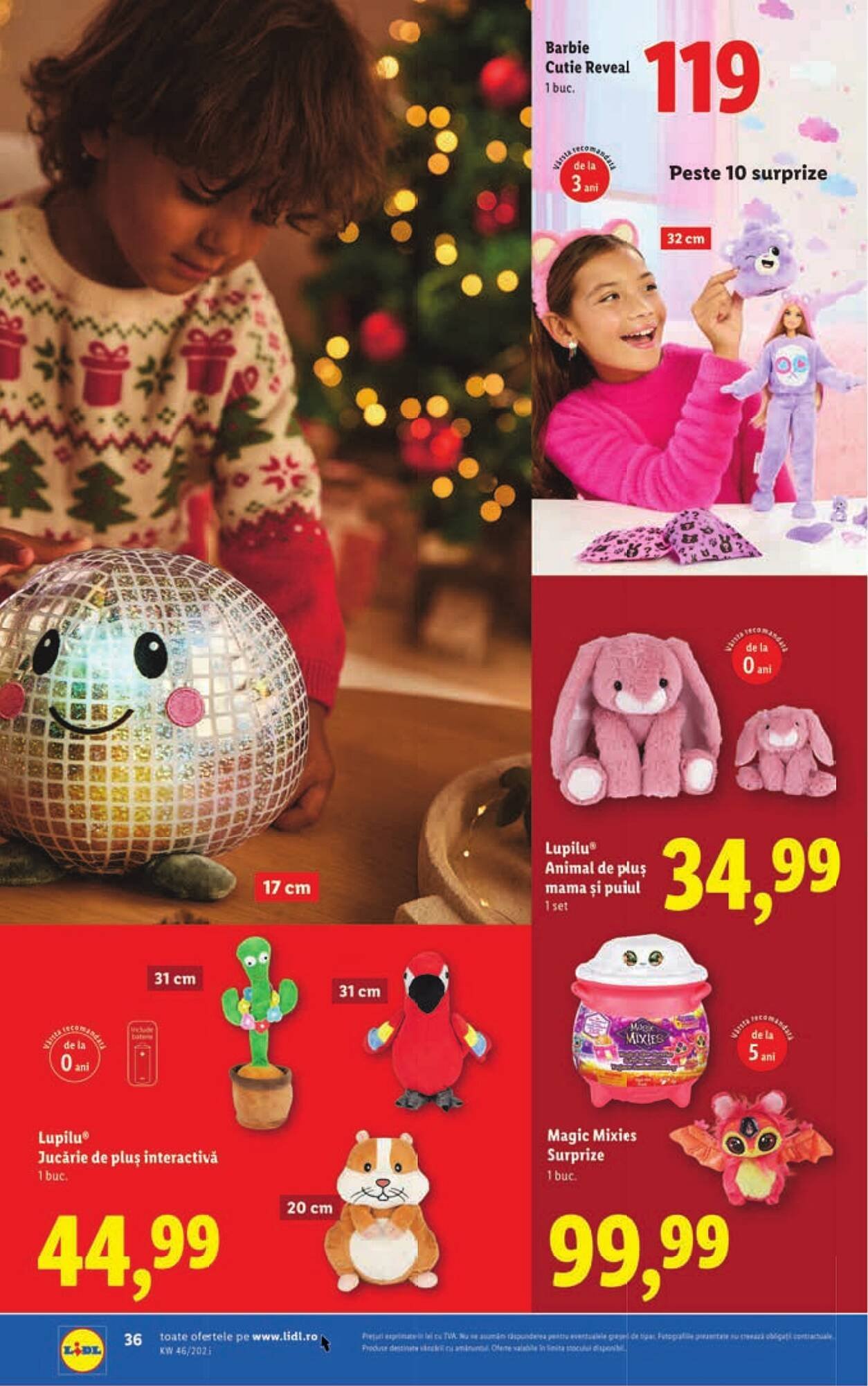 Catalog Lidl
