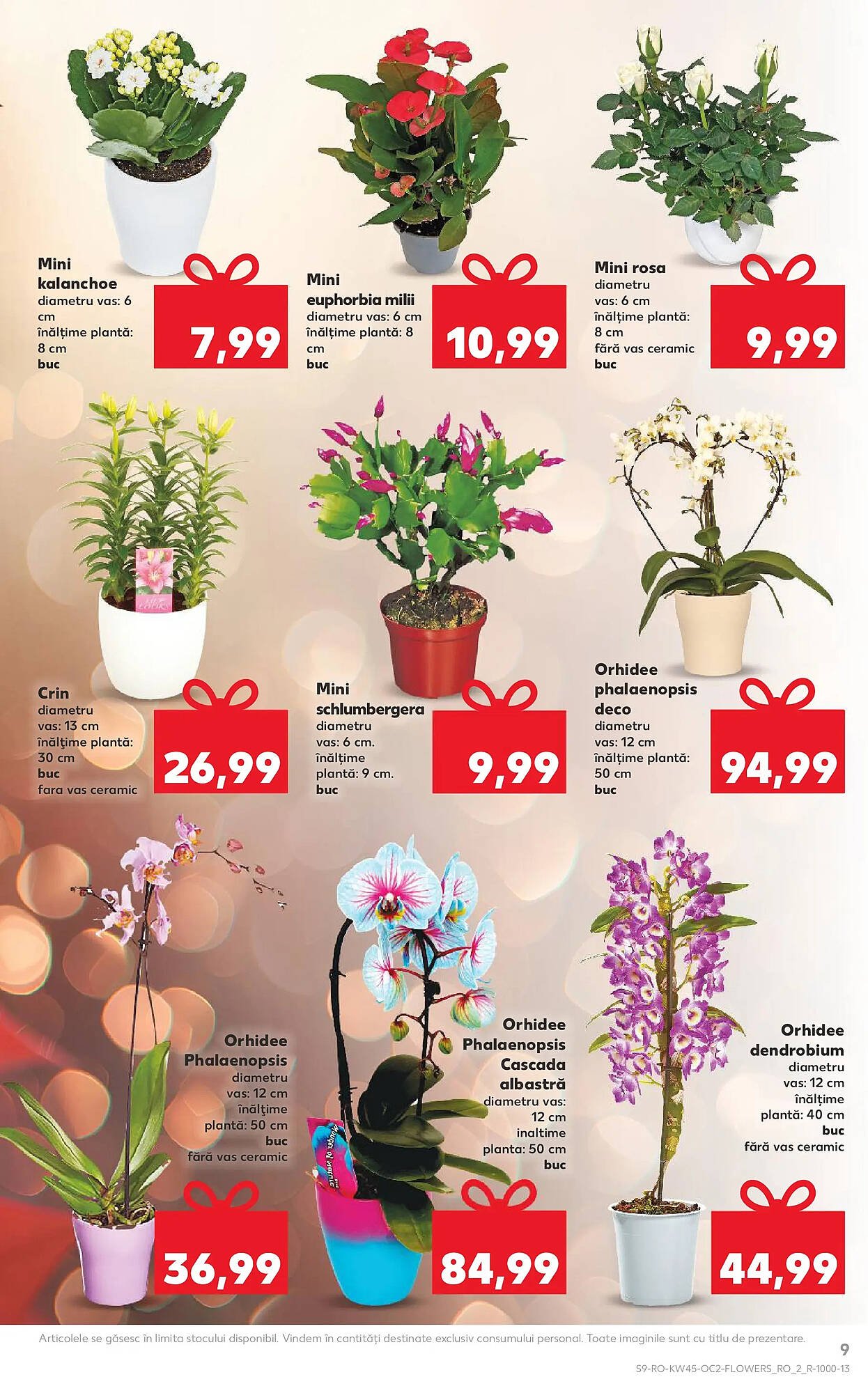 Catalog Kaufland