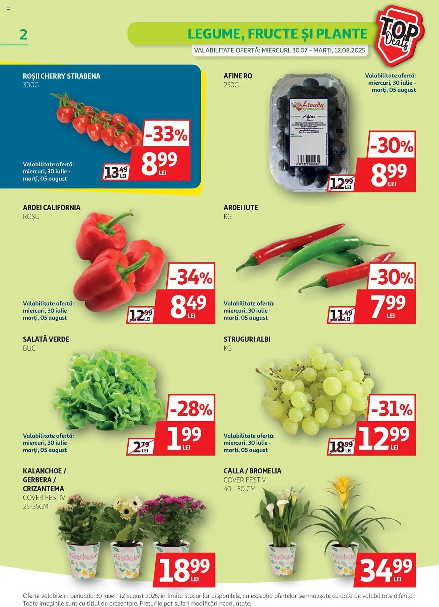 Catalog Auchan