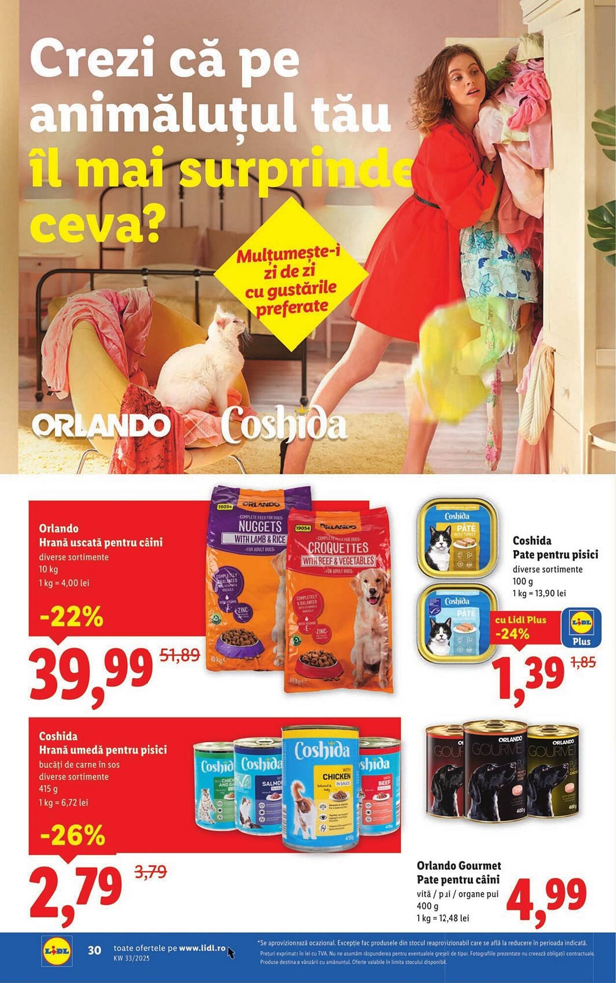 Catalog Lidl