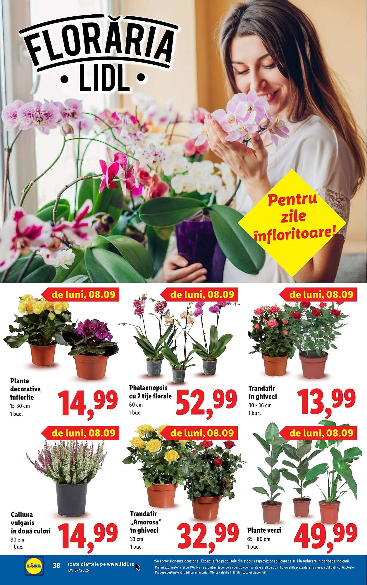Catalog Lidl