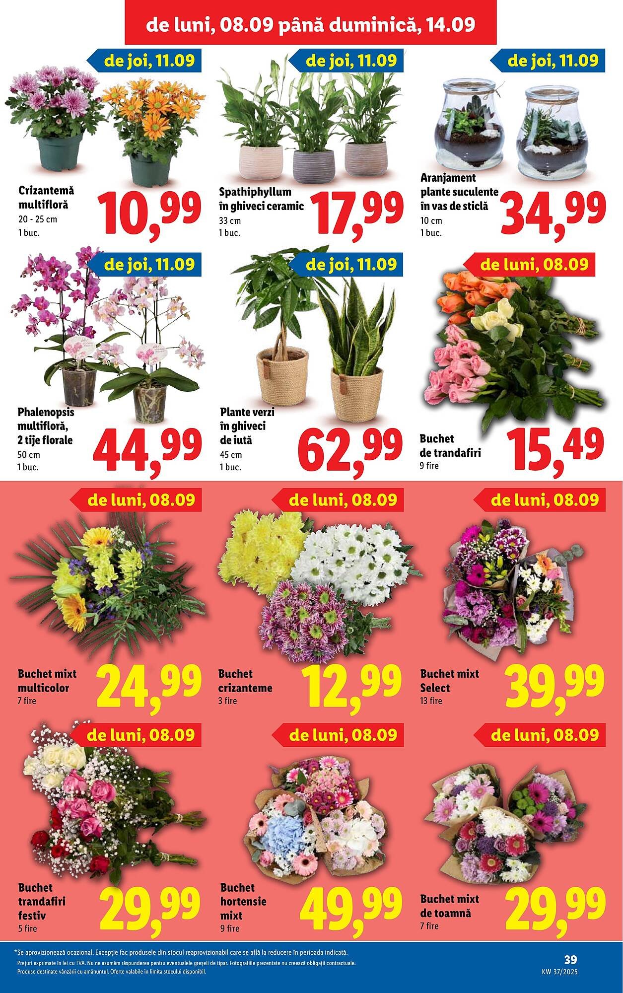 Catalog Lidl