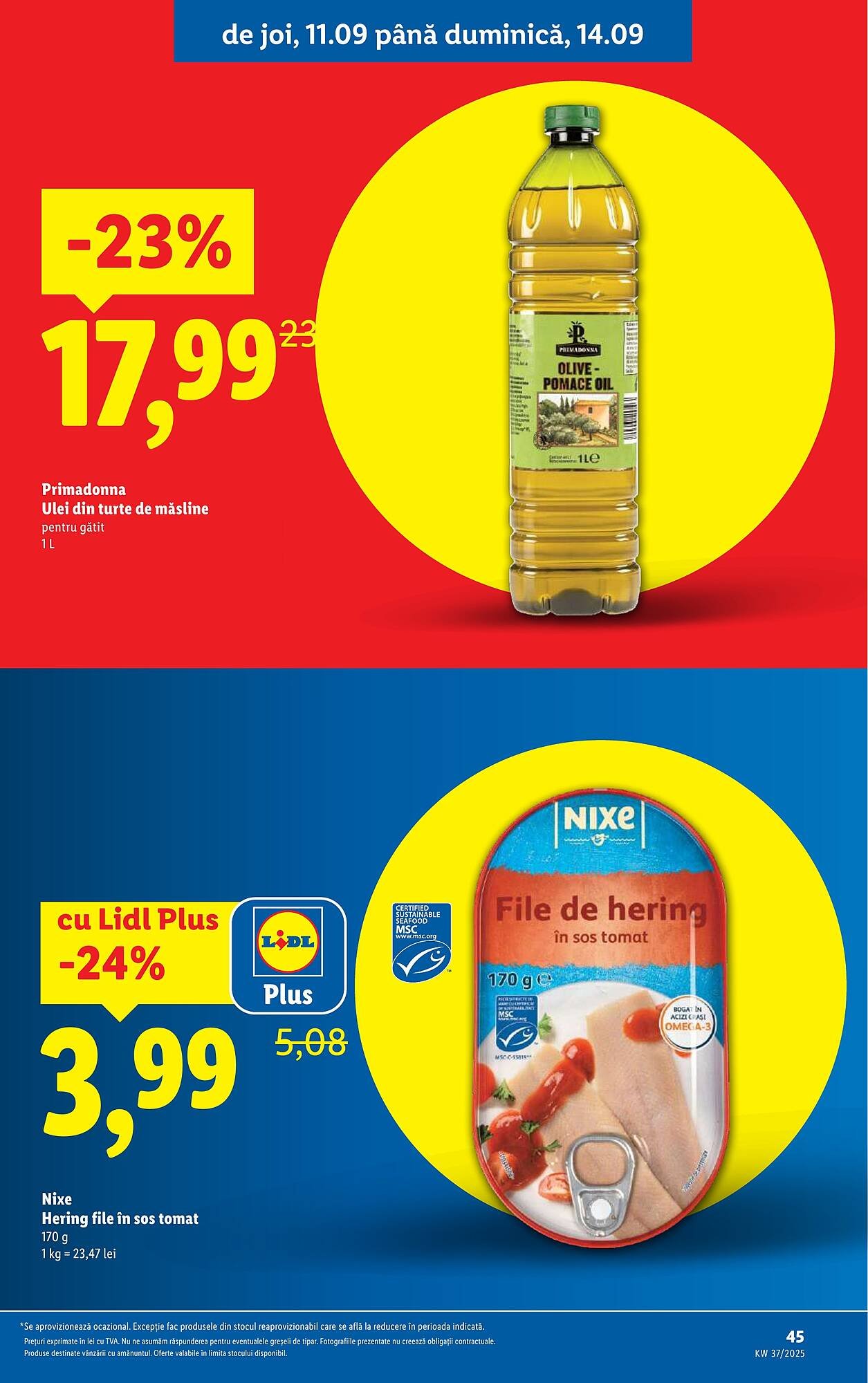 Catalog Lidl