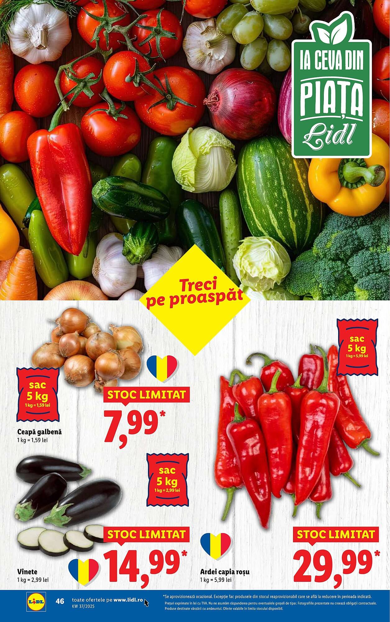 Catalog Lidl