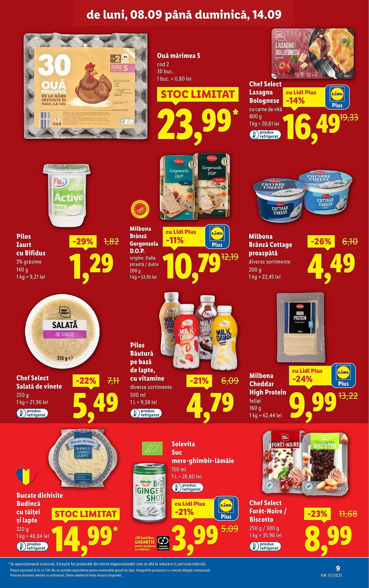 Catalog Lidl