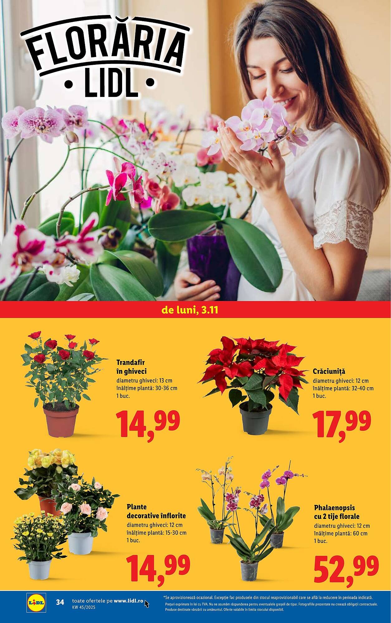Catalog Lidl