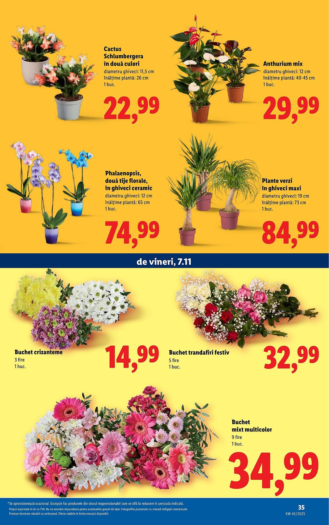 Catalog Lidl