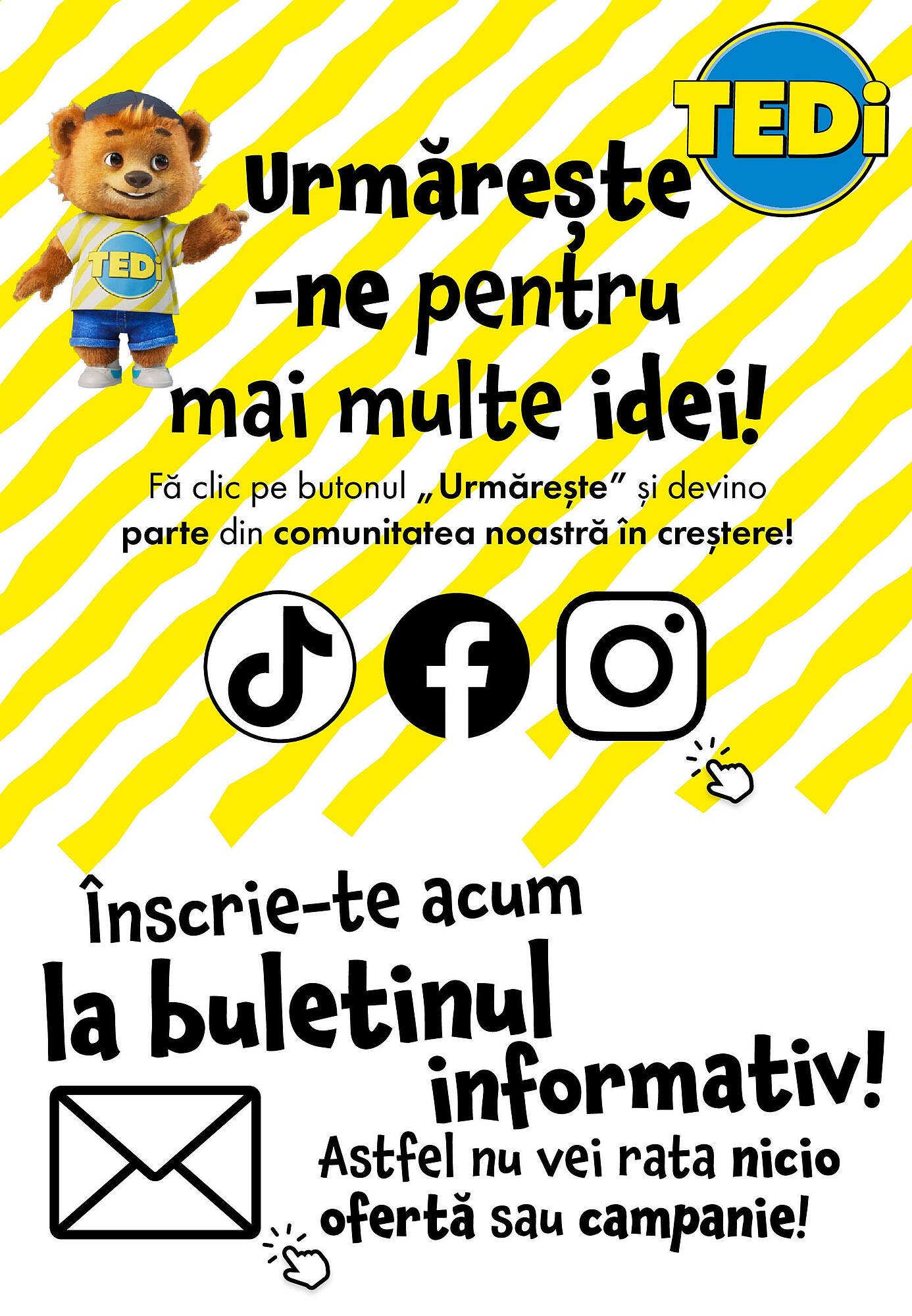 Catalog TEDI