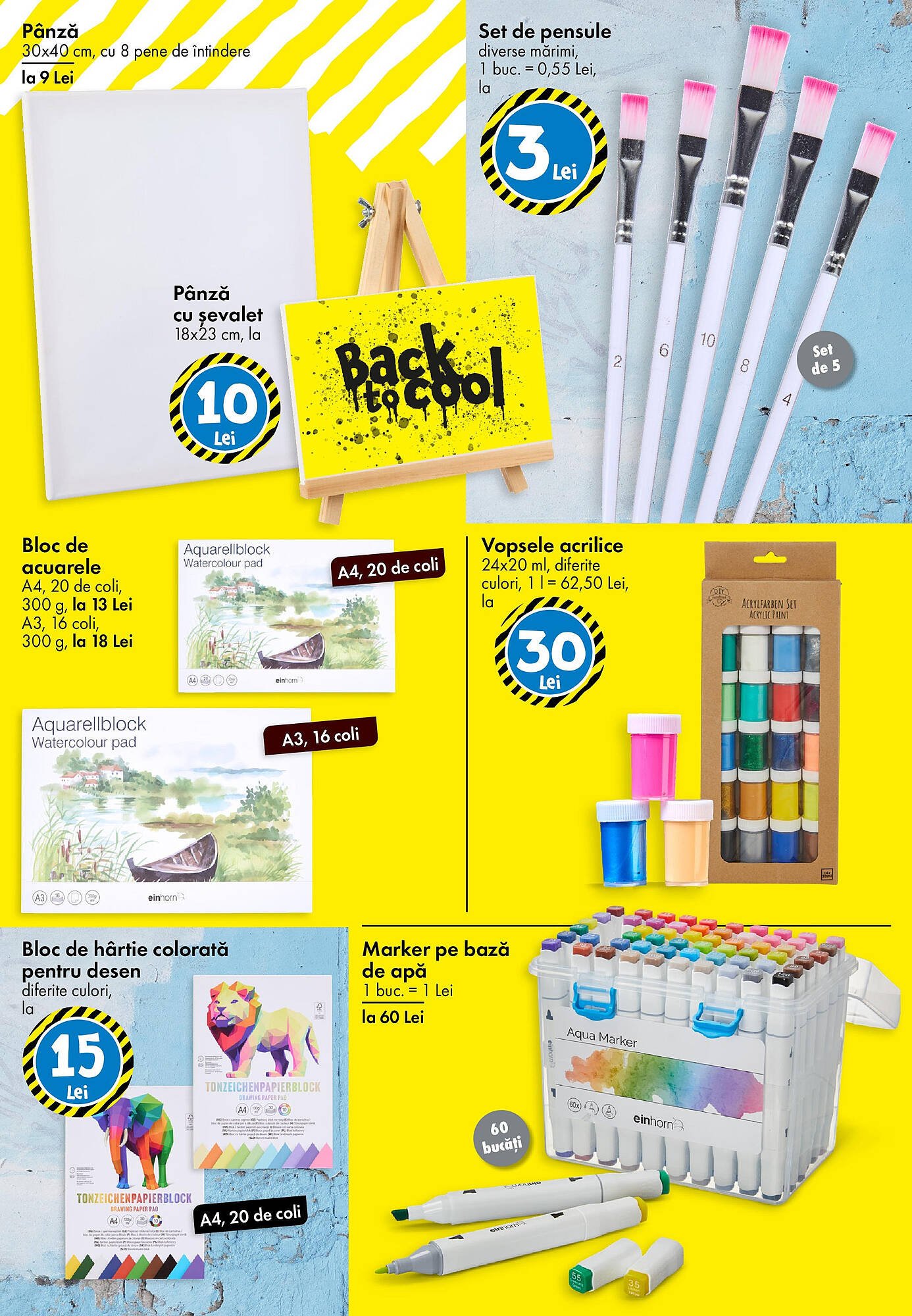 Catalog TEDI